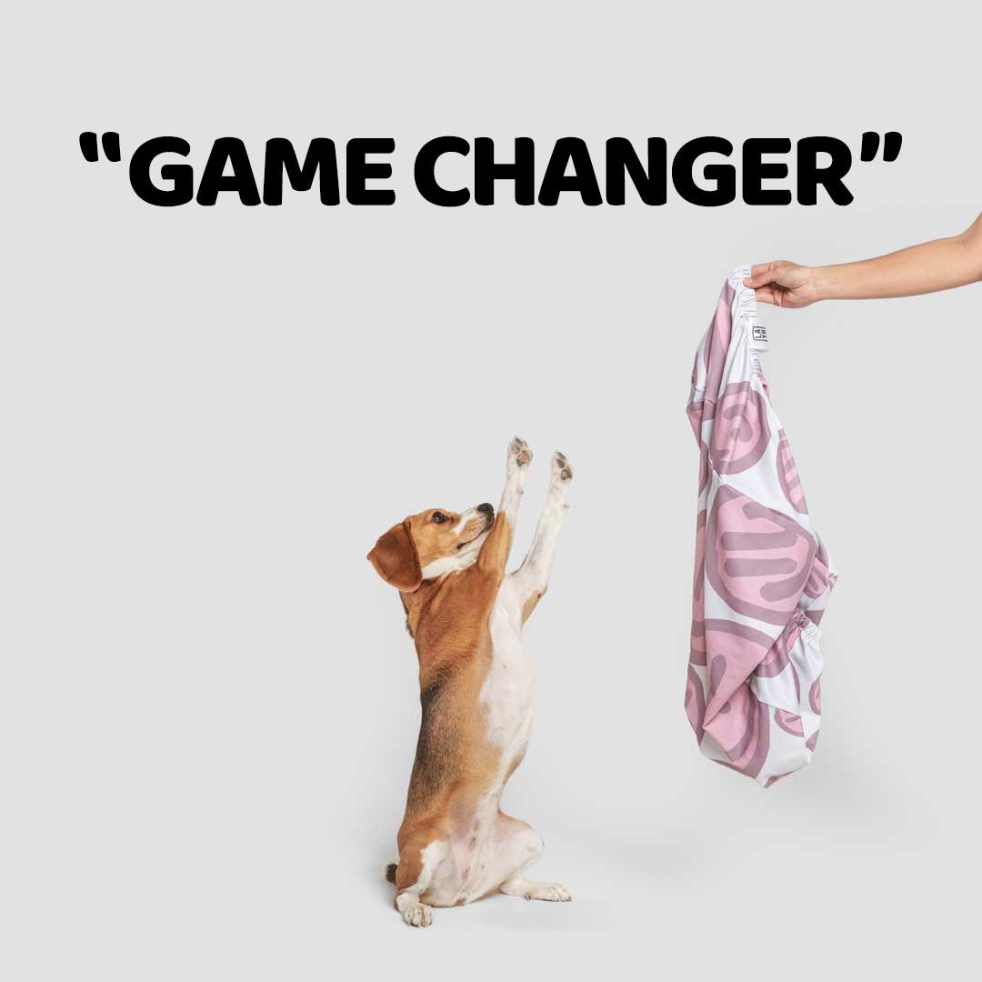 Elevating Canine Comfort: The Evolution of Dog Bed Covers and the Advantages of Fitted Dog Bed Sheets