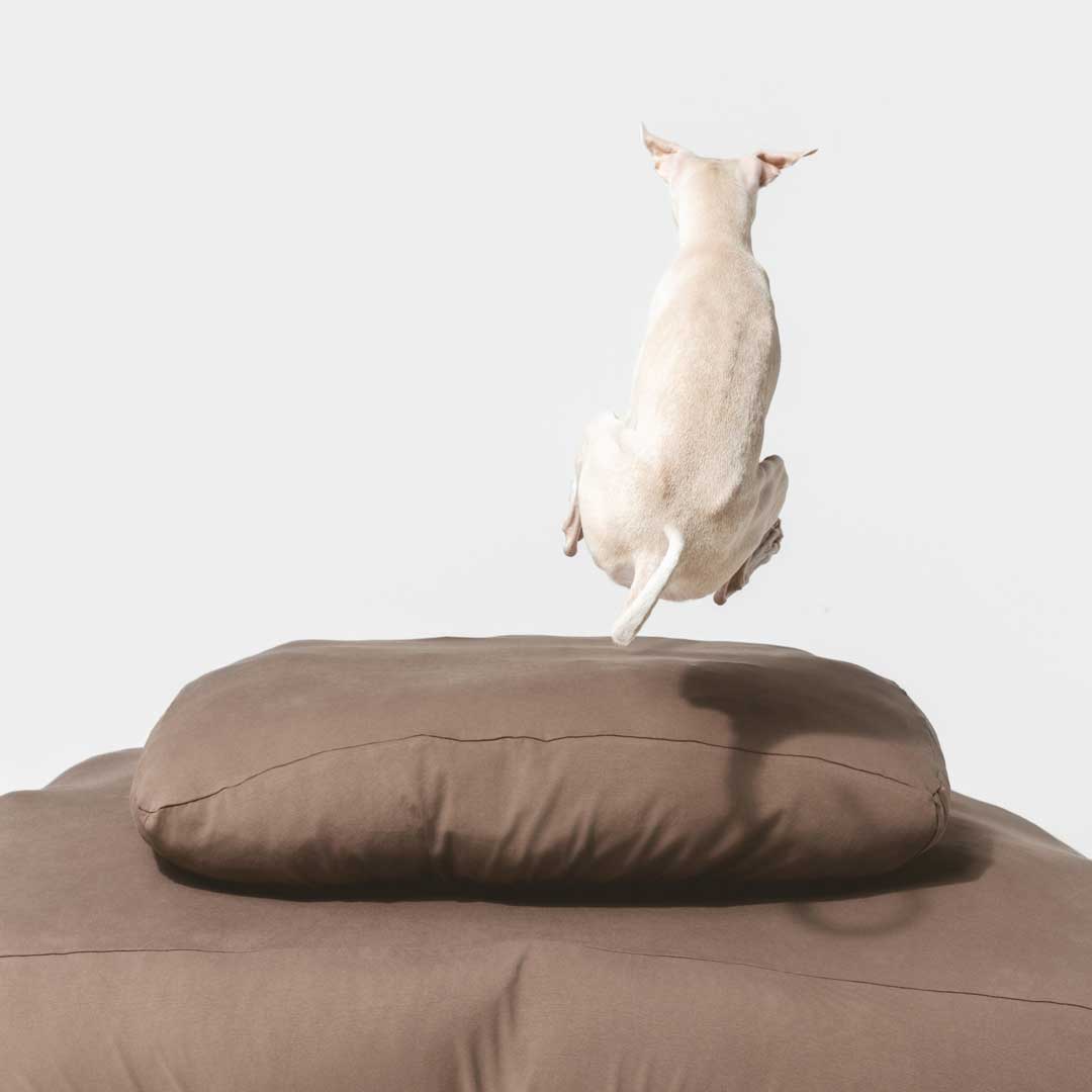 Colored Dog Bed Sheets