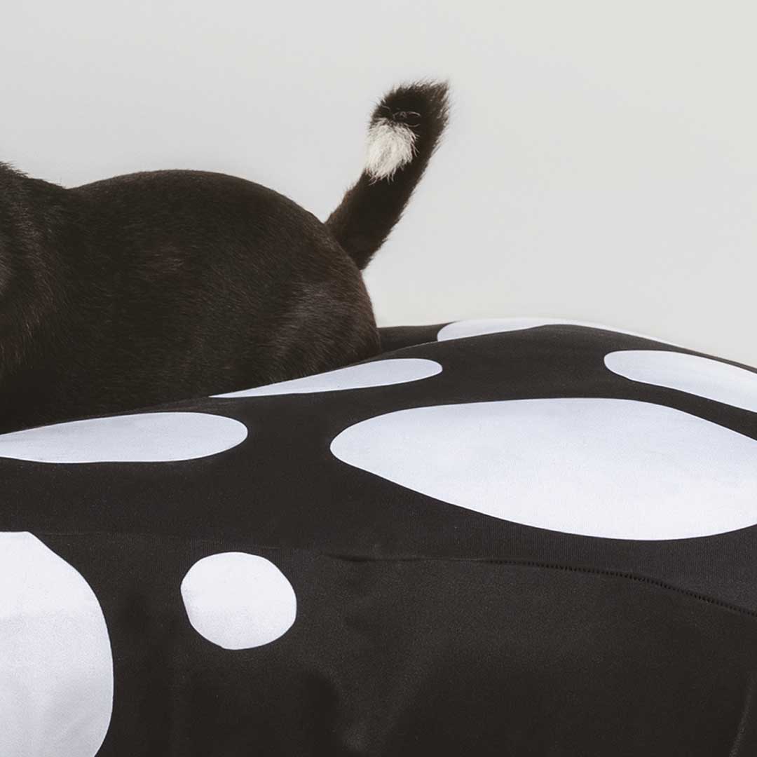 Graphic Dog Bed Sheets