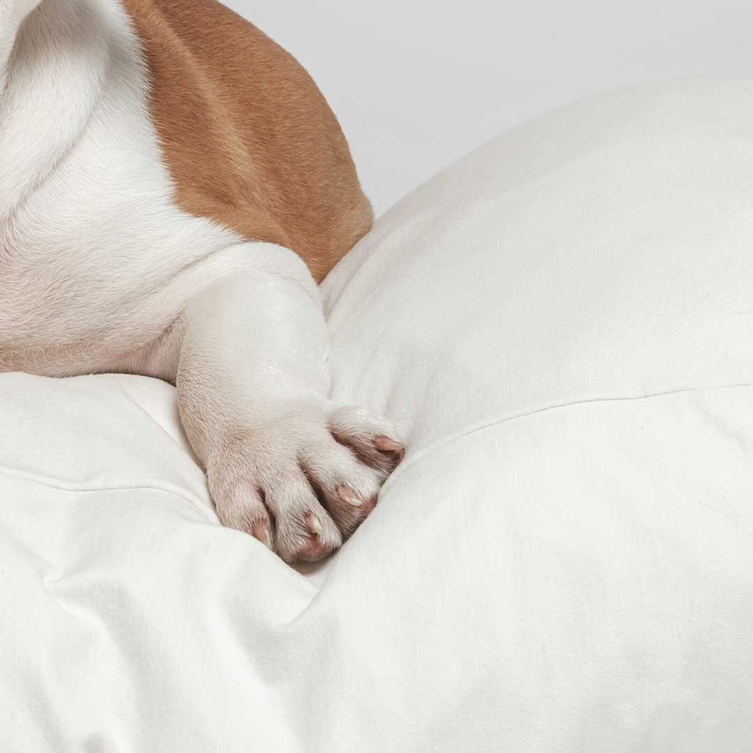 Sustainable Dog Bed Sheets