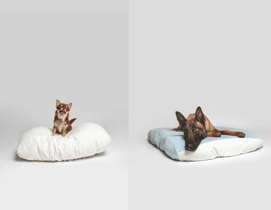 A chihuahua laying on a white dog bed cover and a german shepherd laying on a blue and white dog bed cover.