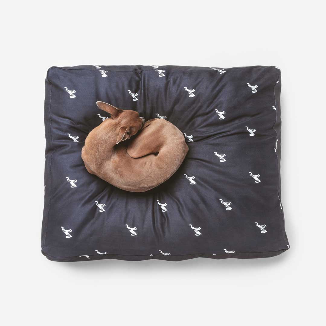 Small dog on black eco-friendly dog bed. Water resistant with washable, sustainable materials for easy cleaning and long-lasting comfort.