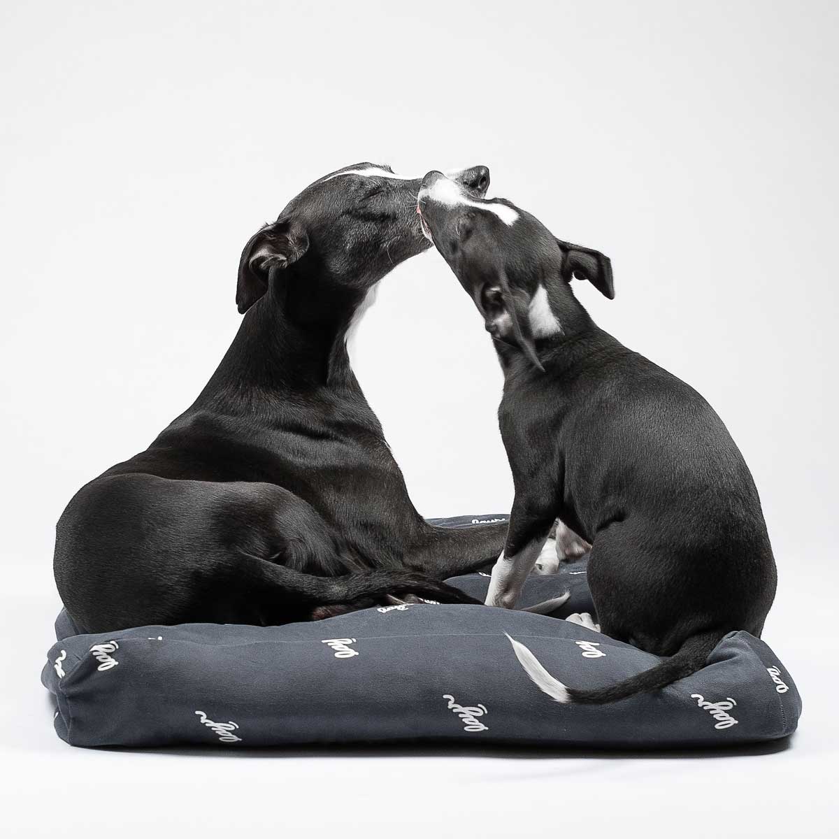 Two whippets on a black eco-friendly dog bed. Water resistant with washable, sustainable materials for easy cleaning and long-lasting comfort.