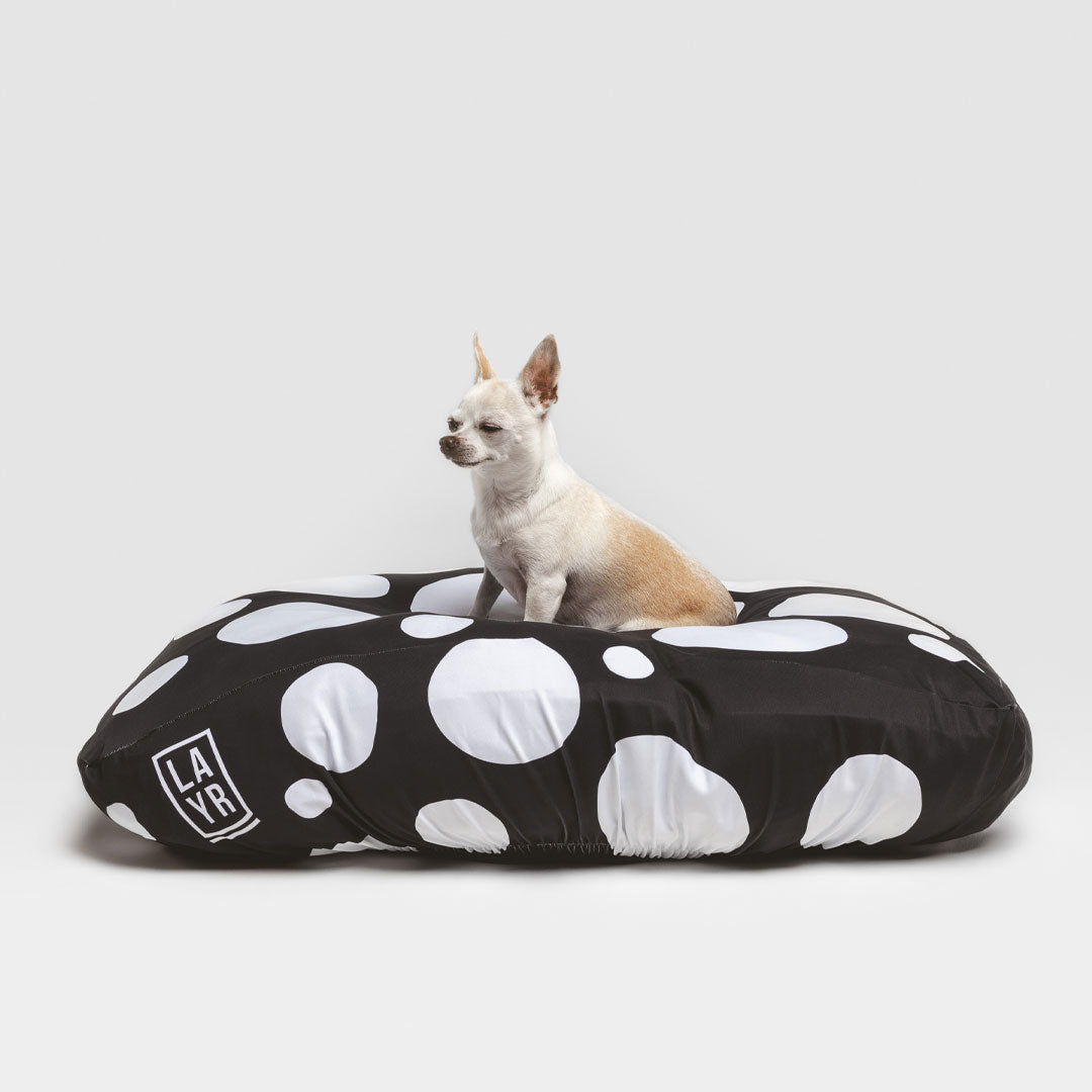 White chihuahua laying on sustainable dog bed. Machine washable, fitted dog bed cover, anti microbial, anti odor, water resistant blue and white spots dog bed cover