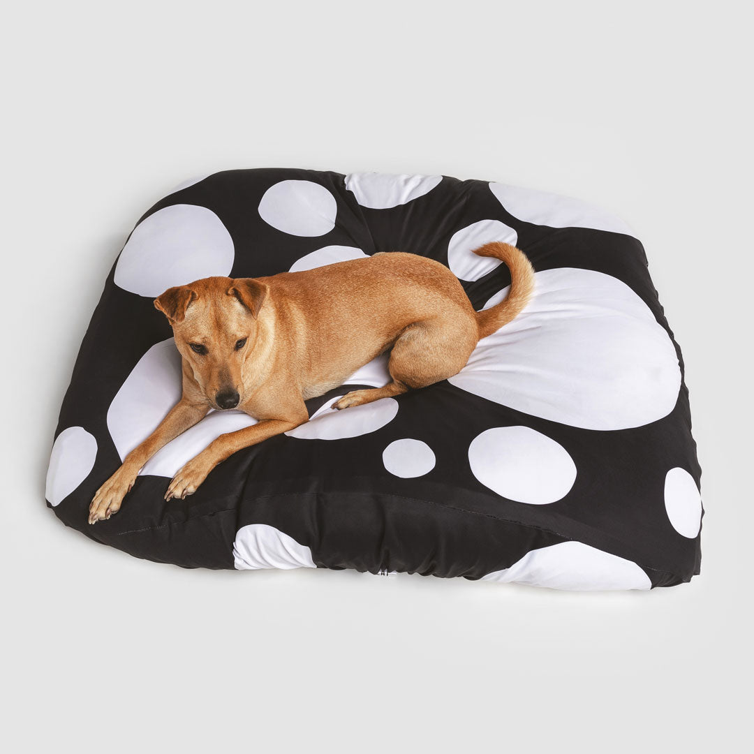 Large dog laying on sustainable dog bed. Machine washable, fitted dog bed cover, anti microbial, anti odor, water resistant blue and white spots dog bed cover.