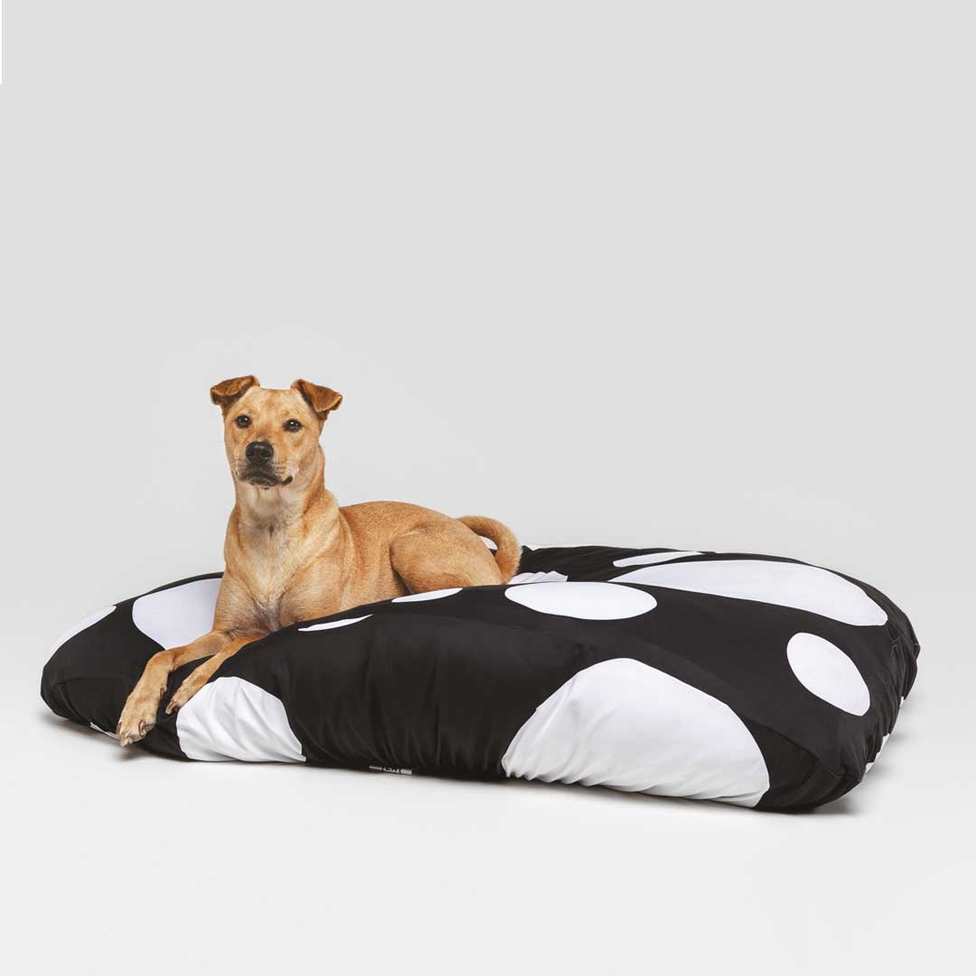 Large dog laying on sustainable dog bed. Machine washable, fitted dog bed cover, anti microbial, anti odor, water resistant blue and white spots dog bed cover