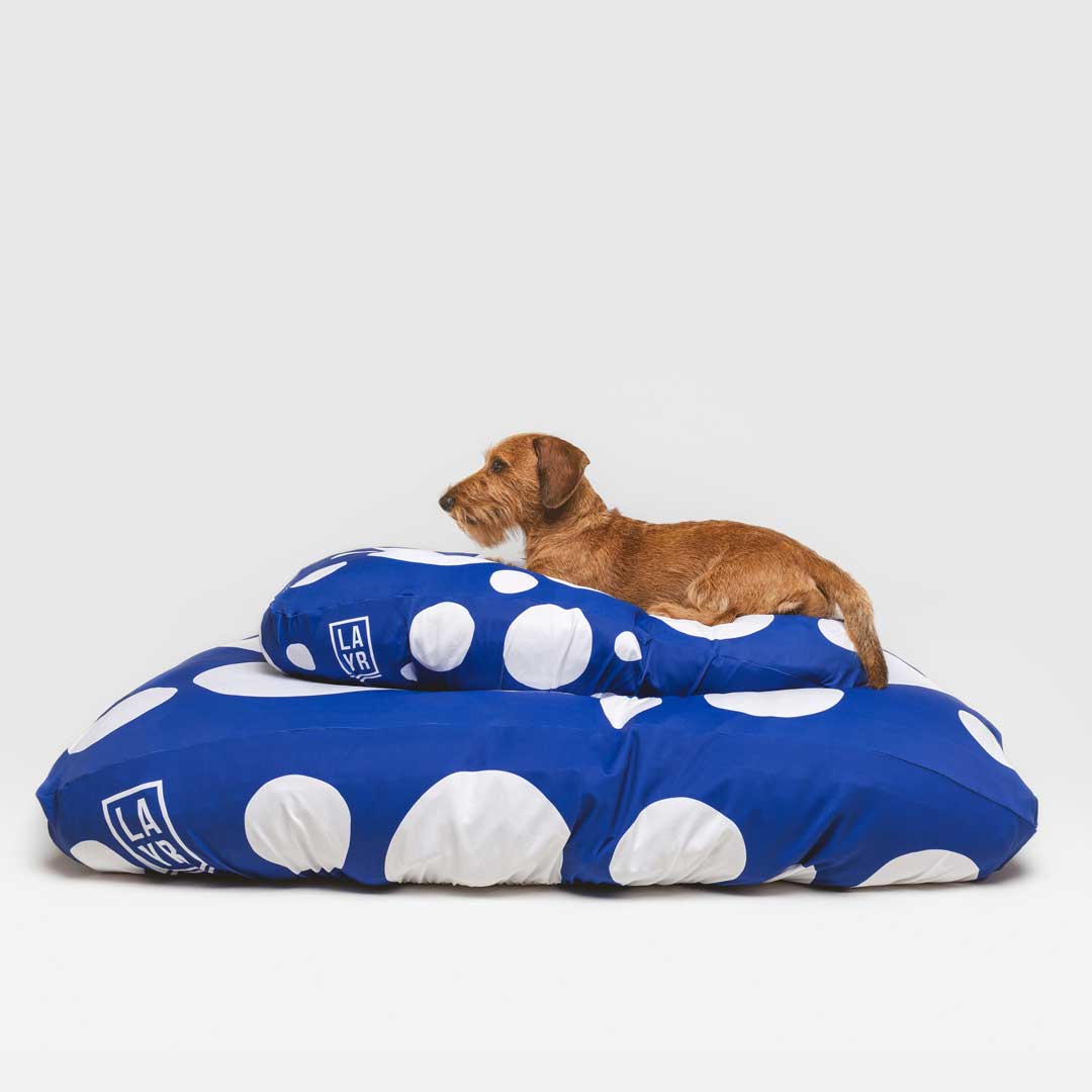 Daschund laying on sustainable dog bed. Machine washable, fitted dog bed cover, anti microbial, anti odor, water resistant blue and white spots dog bed cover