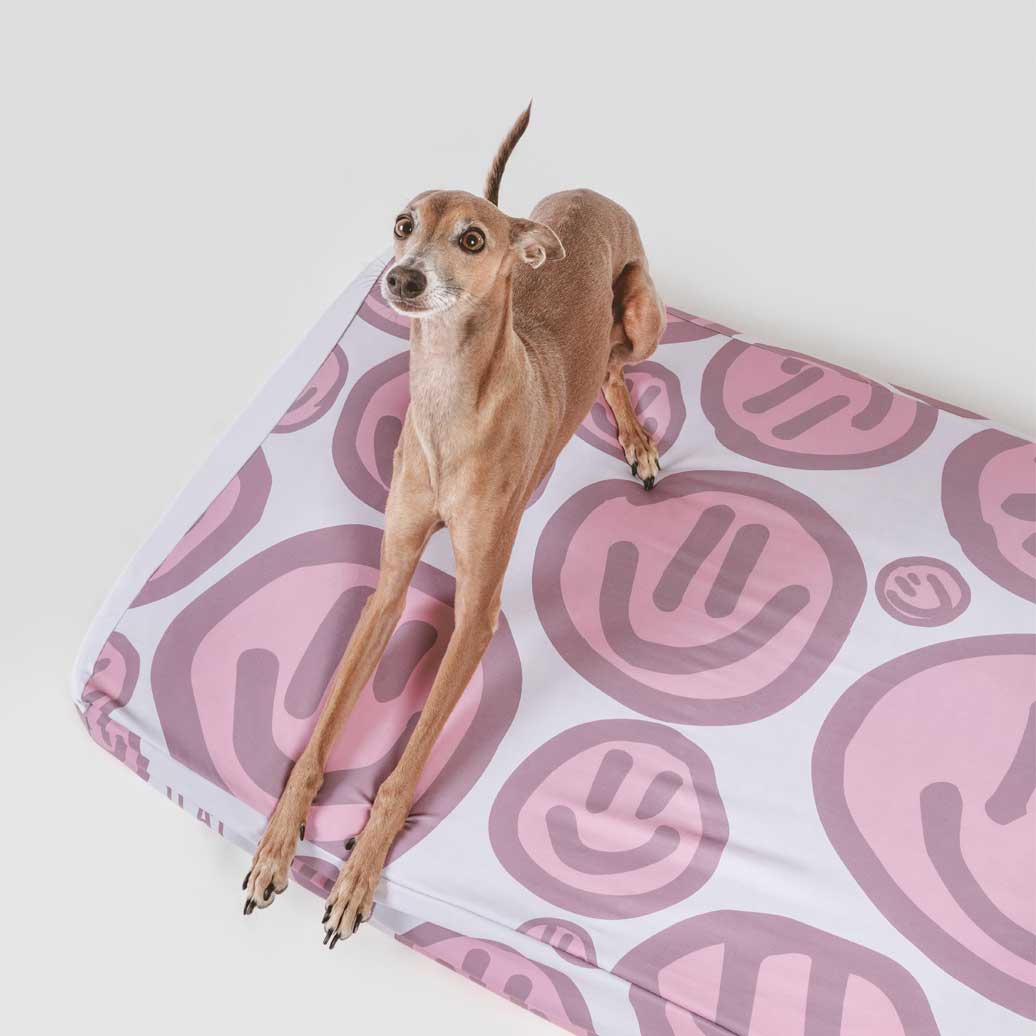 Graphic Dog Bed Sheets LAYR