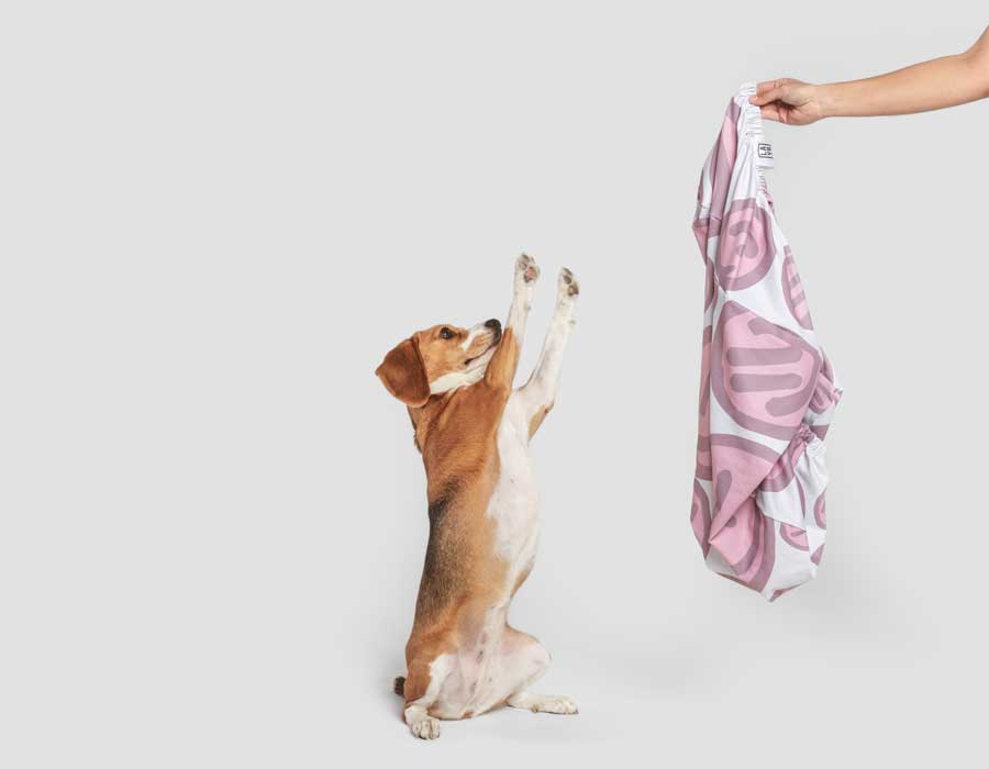 Beagle begging for machine washable, anti microbial, anti odor, water resistant pink dog bed cover.