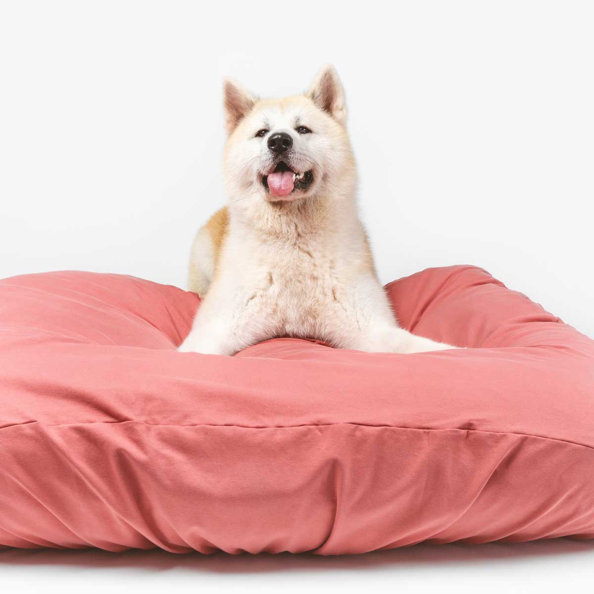 dog laying on rose colored anti microbial and anti odor, machine washable, stretchy dog bed cover.