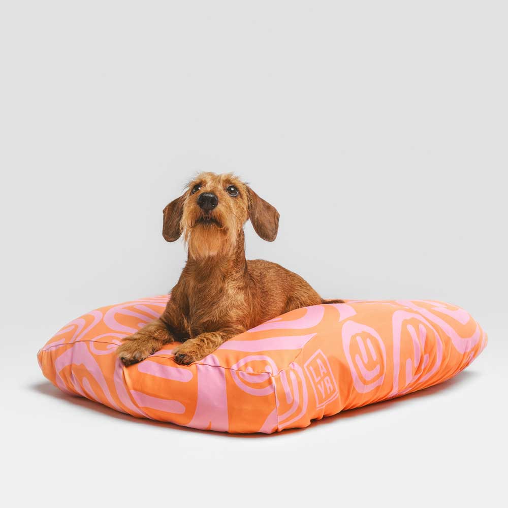 Dachshund on machine washable, fitted, cute pink and peach dog bed cover.