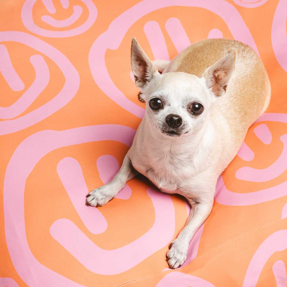 Sherbet Happy Bed Sheet