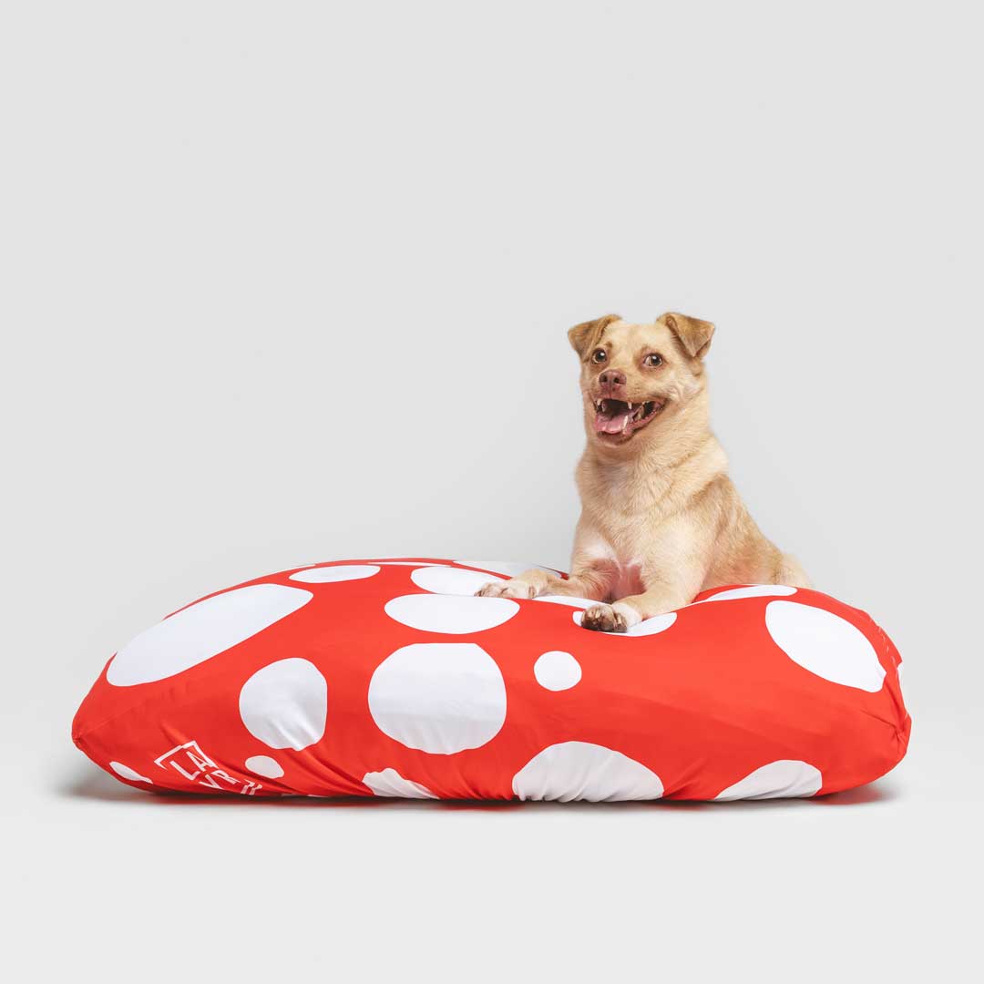 Funny dog laying on sustainable dog bed. Machine washable, fitted dog bed cover, anti microbial, anti odor, water resistant red and white spots dog bed cover.