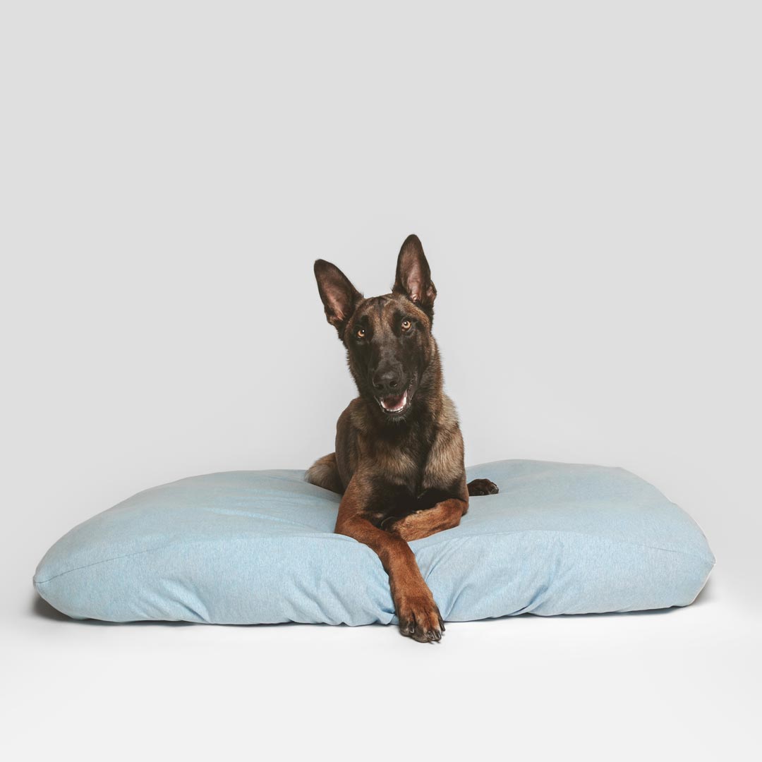 German Shepherd laying on sustainable dog bed with machine washable, sustainable blue dog bed cover.