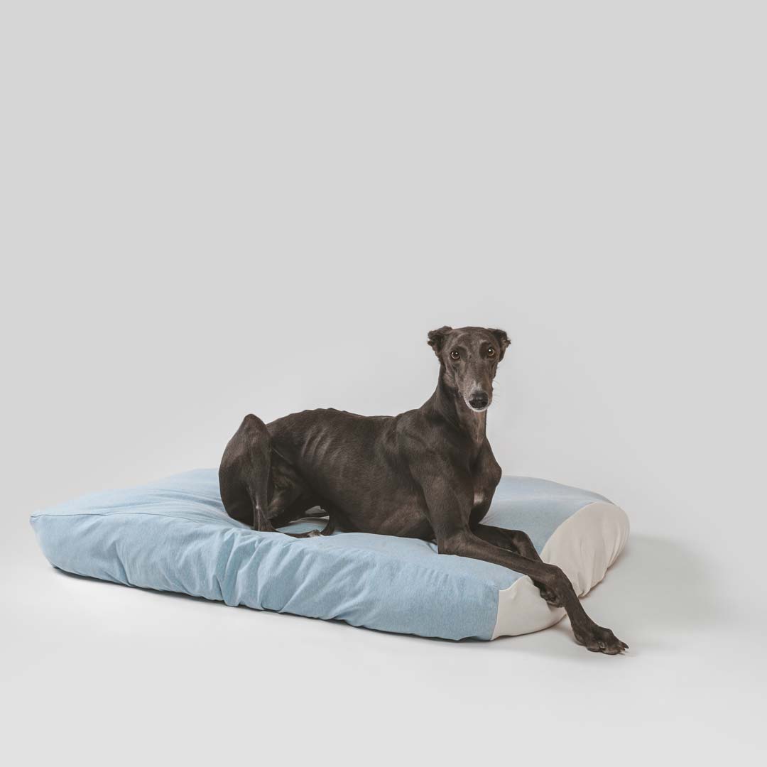 Greyhound dog laying on sustainable dog bed with fitted, washable blue sustainable dog bed cover.