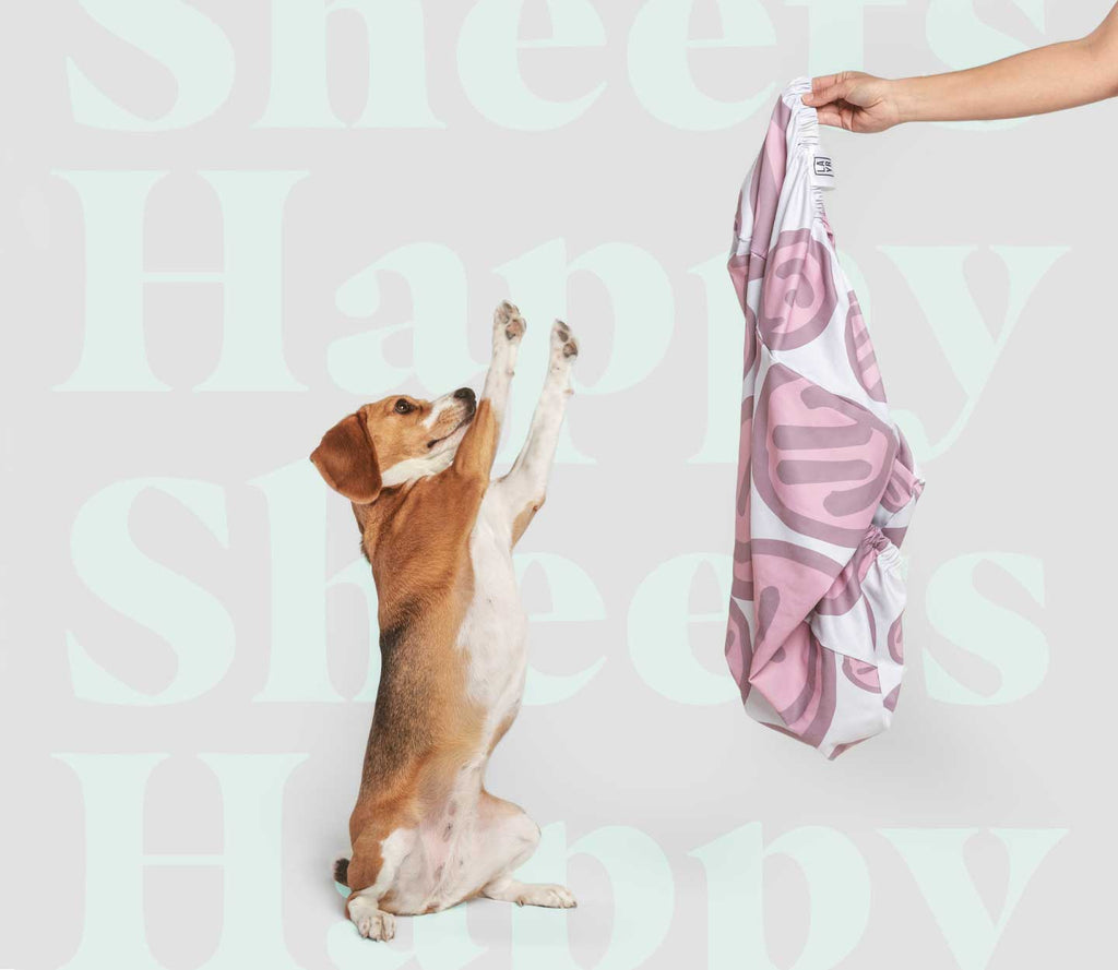 The Happy Sheets by LAYR. Fun, colorful dog bed sheets with happy face graphics that stretch to fit your dog's bed.