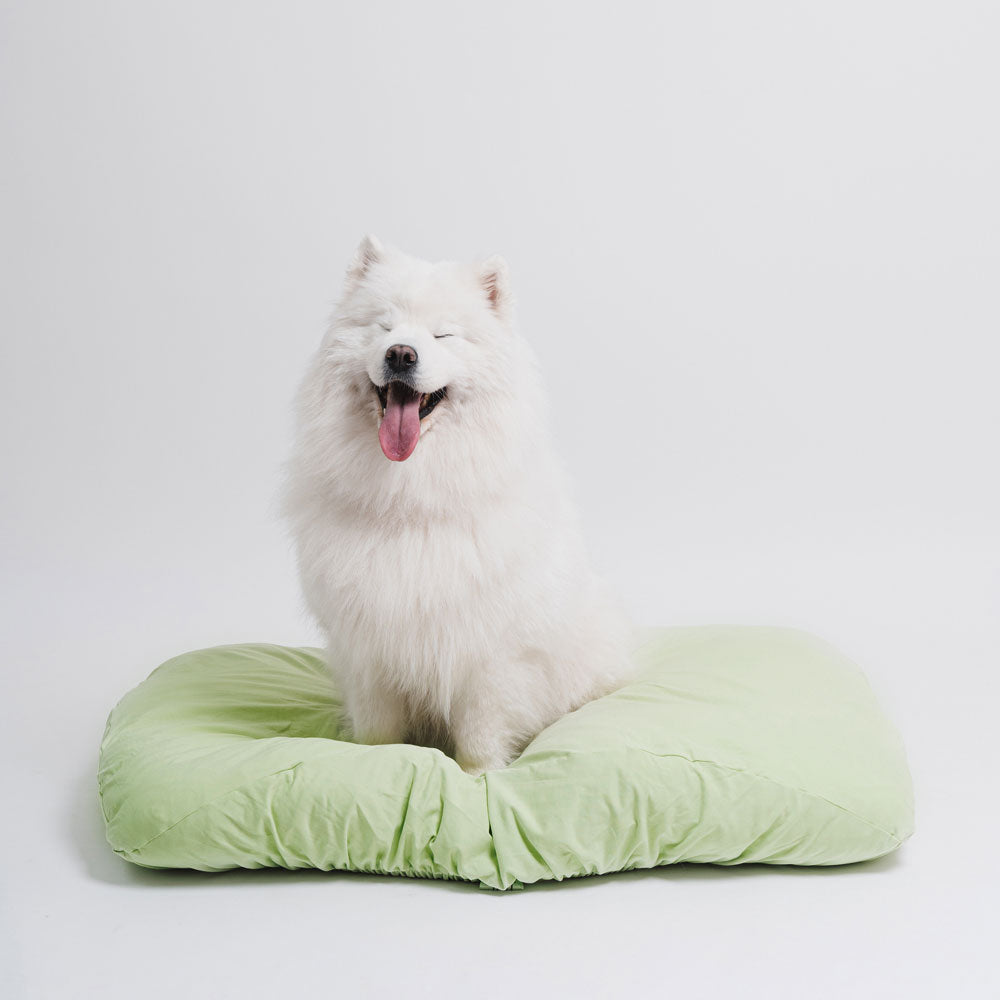 Colored Dog Bed Sheets