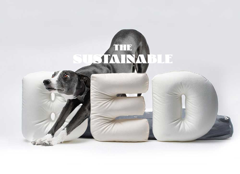 The most sustainable dog bed.