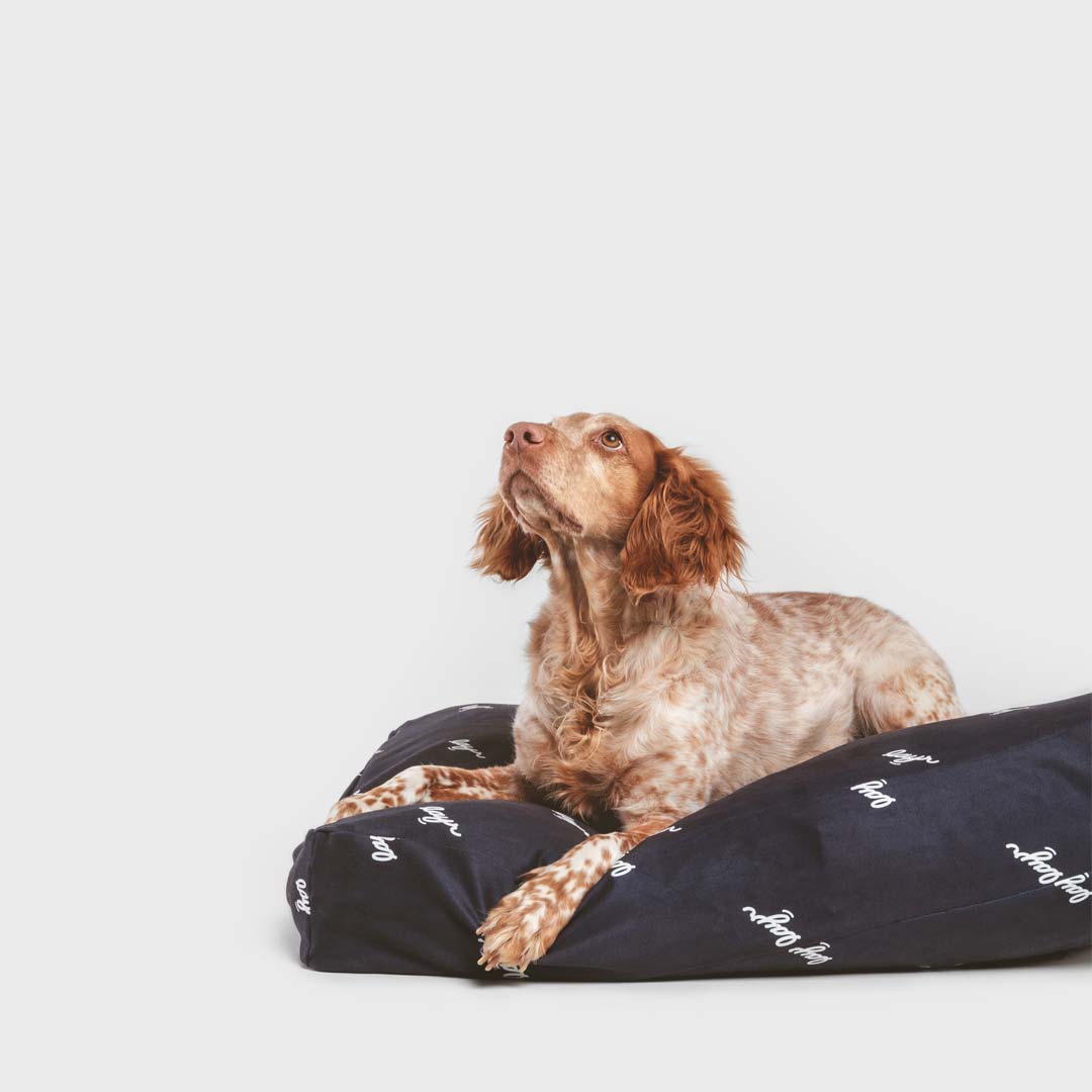 Cute dog laying on black eco-friendly dog bed with washable, sustainable materials for easy cleaning and long-lasting comfort.