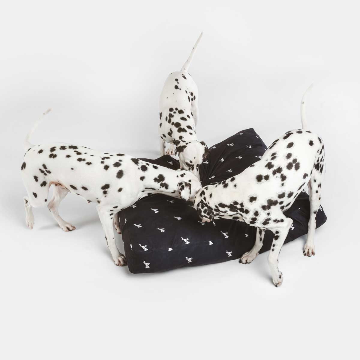 Dalmatians with black eco-friendly dog bed with washable, sustainable materials for easy cleaning and long-lasting comfort.