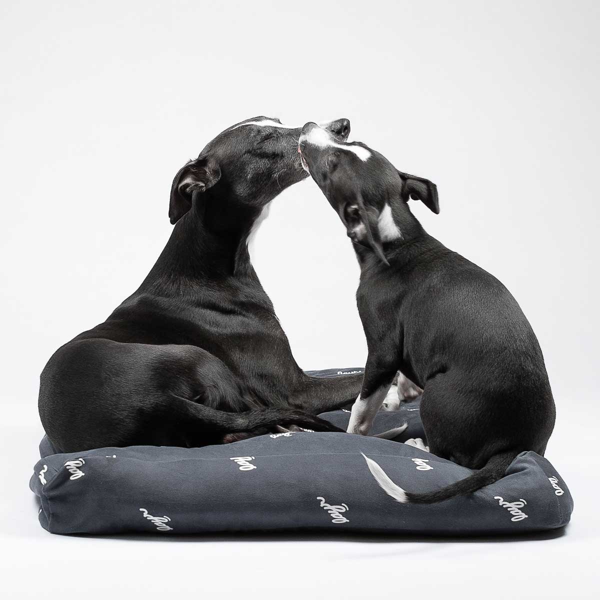 Two whippets on a black eco-friendly dog bed with washable, sustainable materials for easy cleaning and long-lasting comfort.