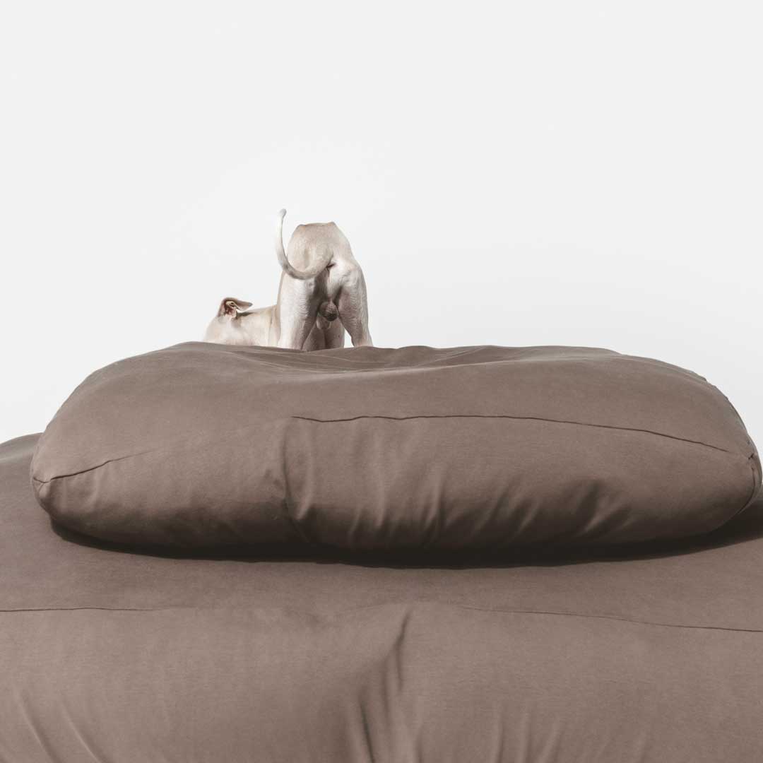 Small dog on brown colored anti microbial, anti odor, machine washable, stretchy dog bed cover.
