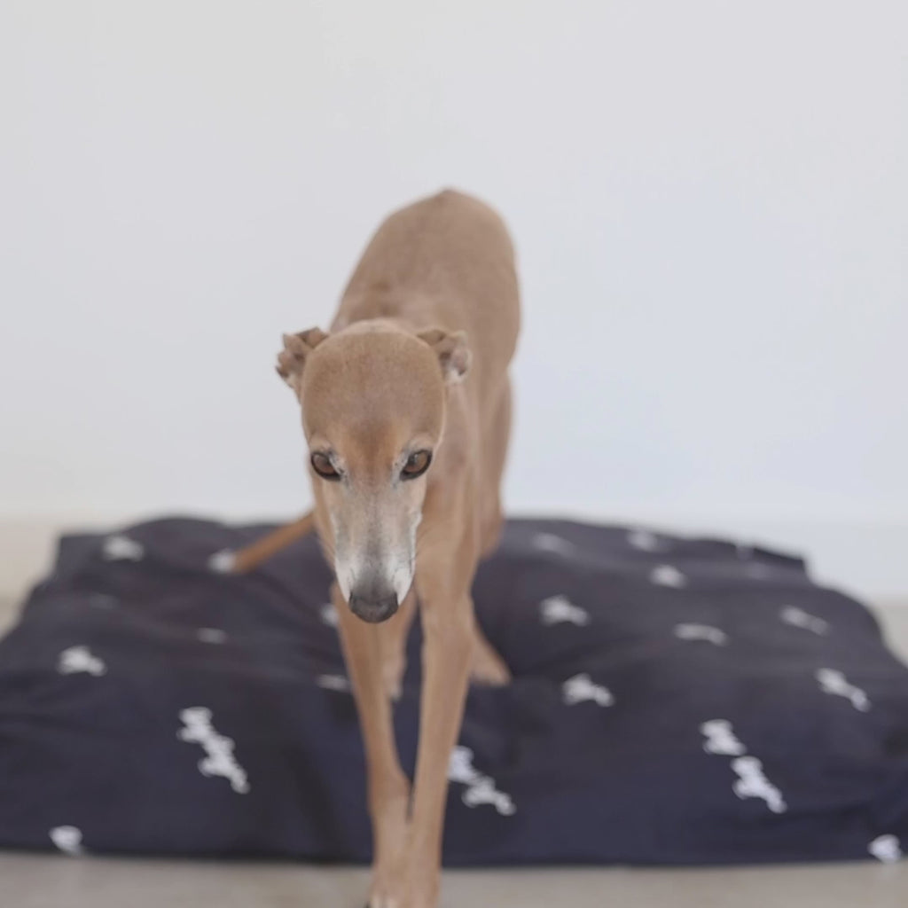 Video for The LAYR Sustainable Dog Bed. Eco friendly dog bed for you and your dog. 