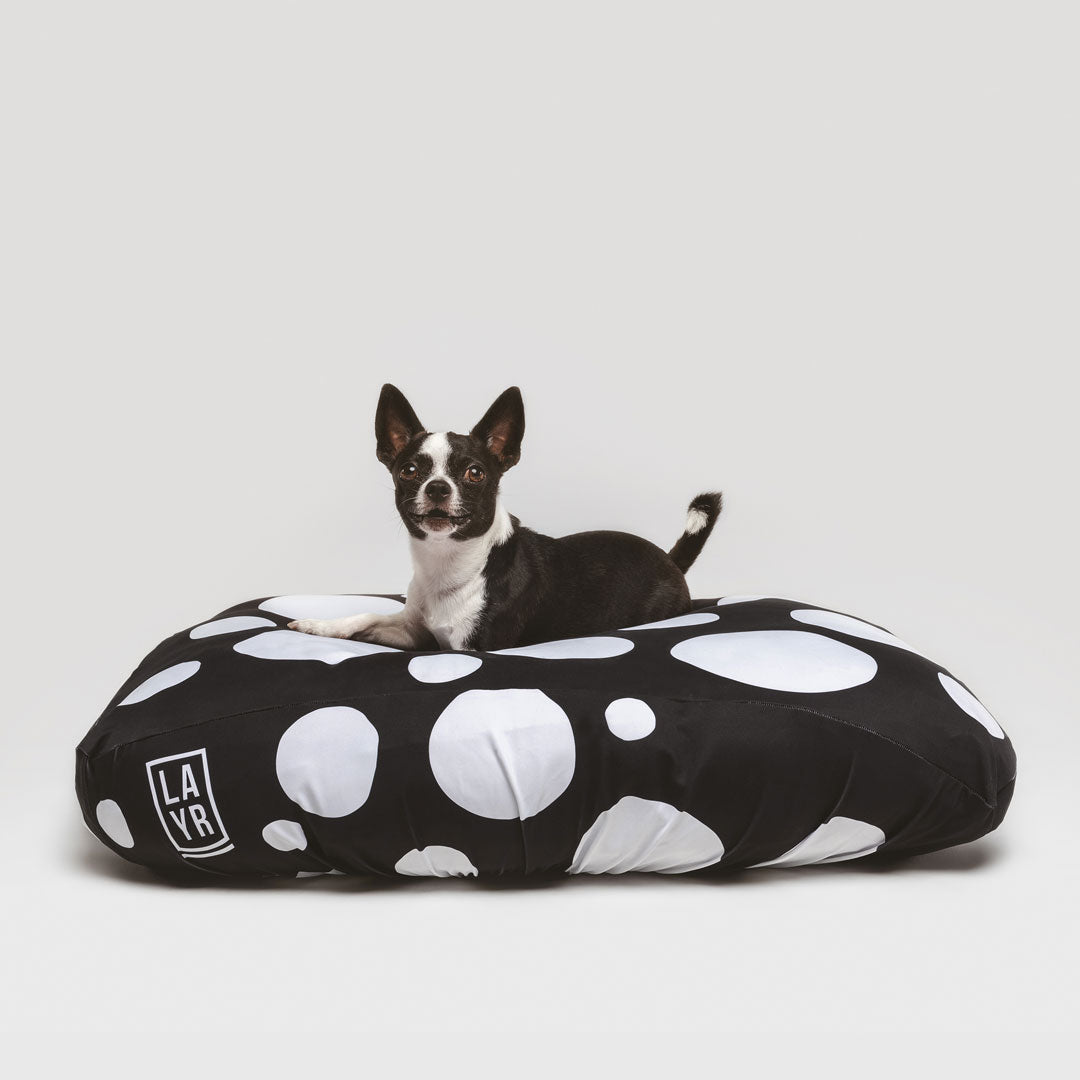 Small black dog with spots on a black dog bed sheets with white spots. Anti odor, anti microbial, machine washable.