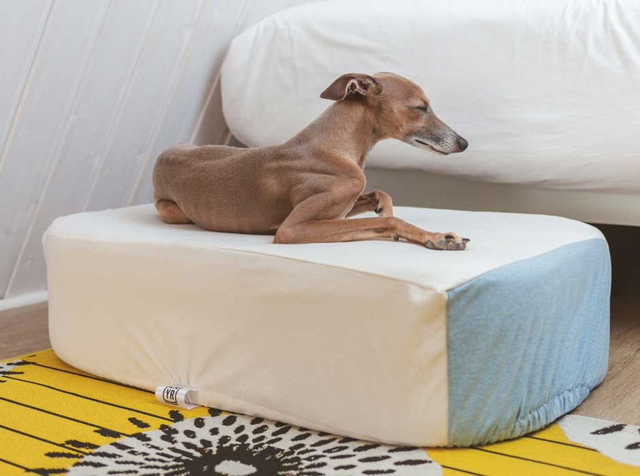 The Modern Dog Bed Cover LAYR™