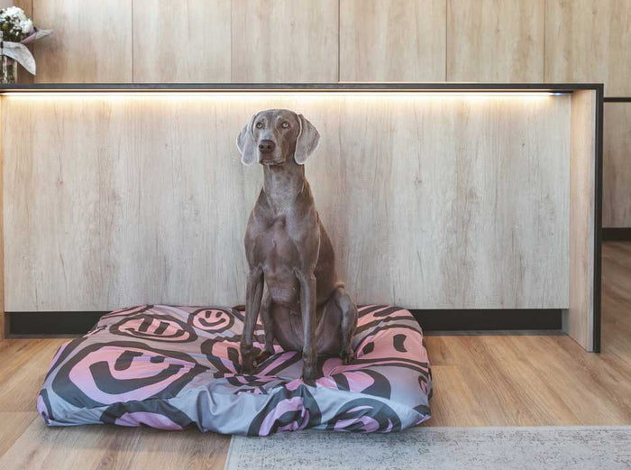 The Modern Dog Bed Cover LAYR™ Free Shipping