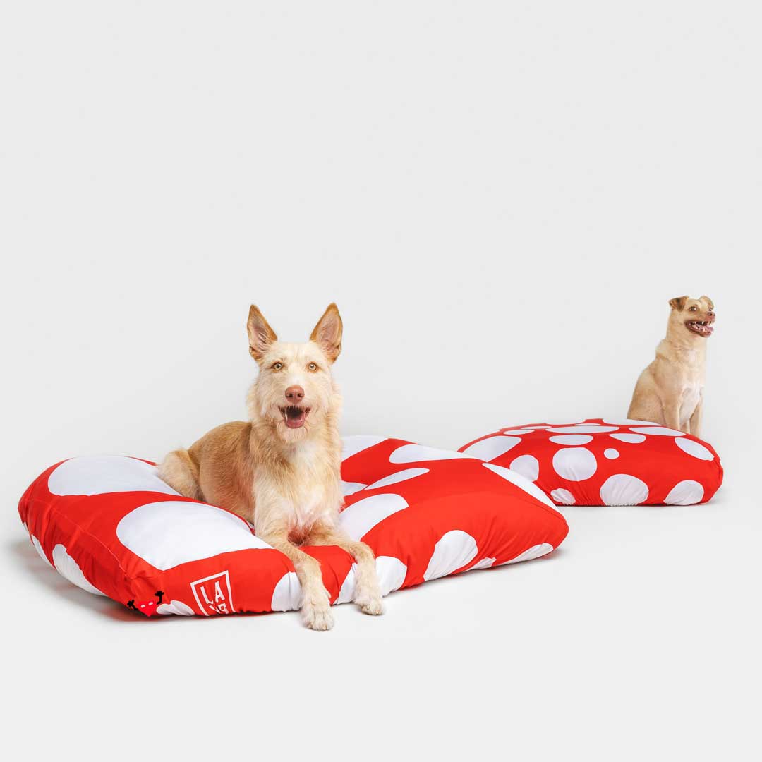 Dog Bed Sheets - Spots