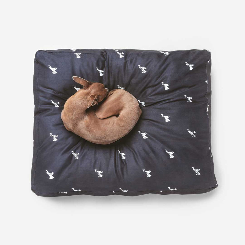 Small dog sleeping on black waterproof microsuede dog bed with LAYR logos.