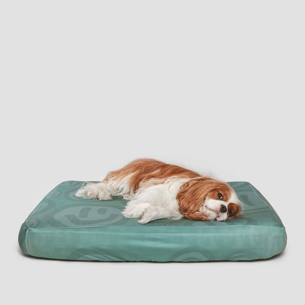Cute King Charles Spaniel laying on green dog bed sheets with smiley faces. Anti microbial, anti odor and water resistant sheets to cover and protect your dog's bed from odors, liquid and dirt. Machine washable for easy clean up.