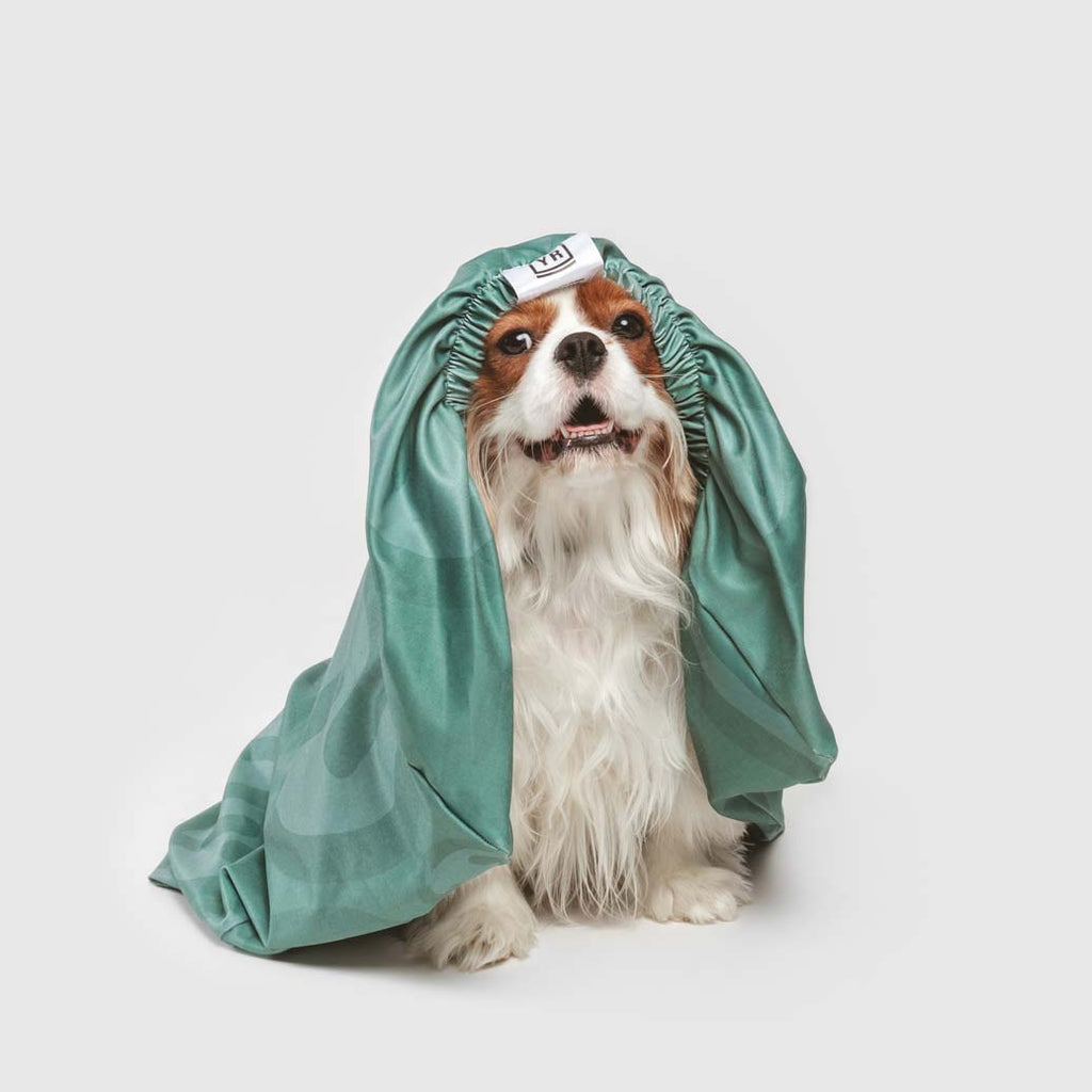 Cute King Charles Spaniel green dog bed sheets with smiley faces. Anti microbial, anti odor and water resistant sheets to cover and protect your dog's bed from odors, liquid and dirt. Machine washable for easy clean up.