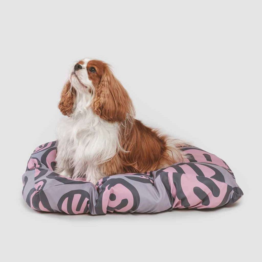 Cavalier King Charles Spaniel sitting on a LAYR dog bed sheet with pink and grey happy faces. Dog bed sheets are anti microbial, water resistant and machine washable. Fun dog bed covers to protect your dog's bed.