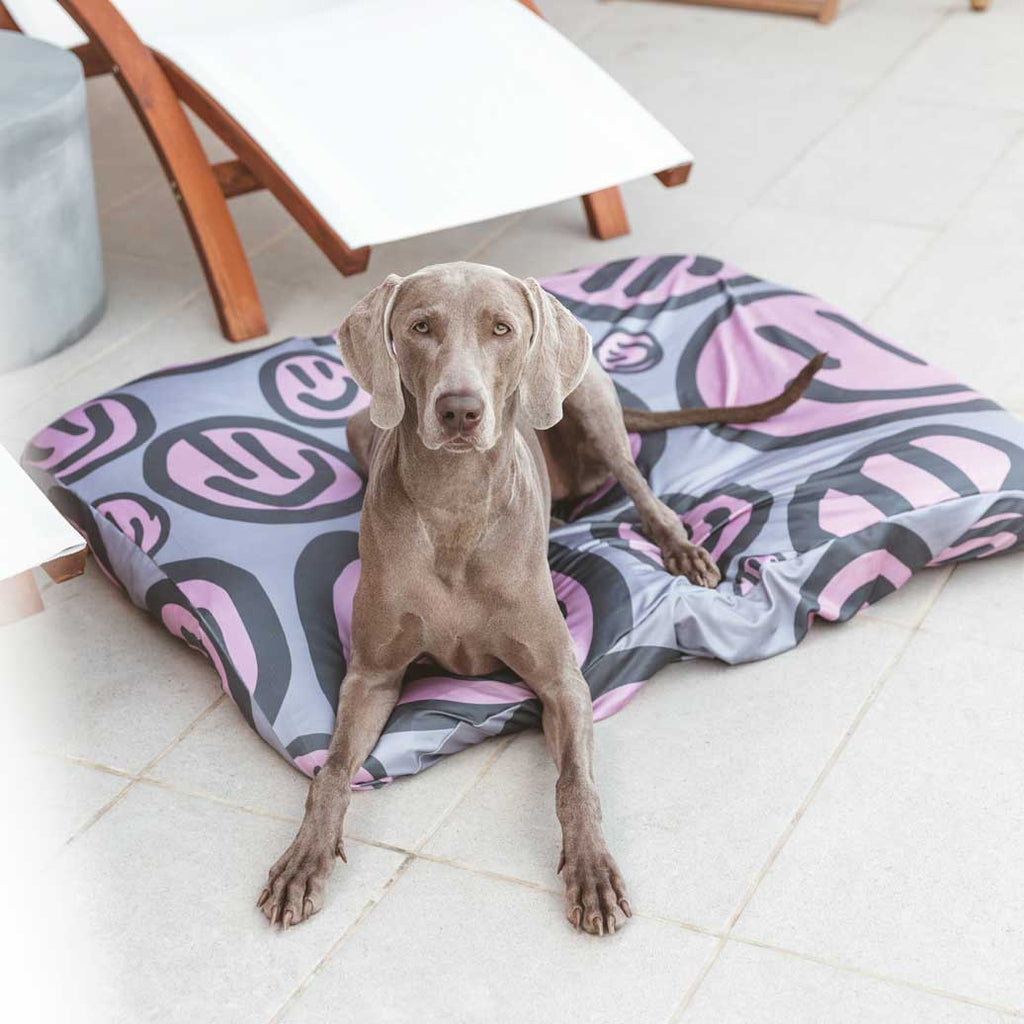 Weimaraner sitting on a LAYR bed sheet with pink and grey happy faces. Dog bed sheets are anti microbial, water resistant and machine washable. Fun dog bed covers to protect your dog's bed.