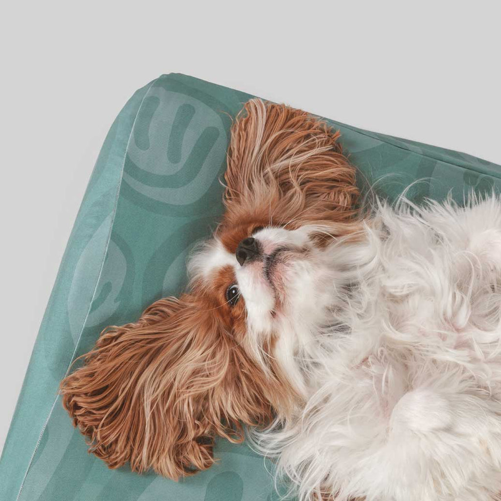 Funny King Charles Spaniel laying on green dog bed sheets with smiley faces. Anti microbial, anti odor and water resistant sheets to cover and protect your dog's bed from odors, liquid and dirt. Machine washable for easy clean up.
