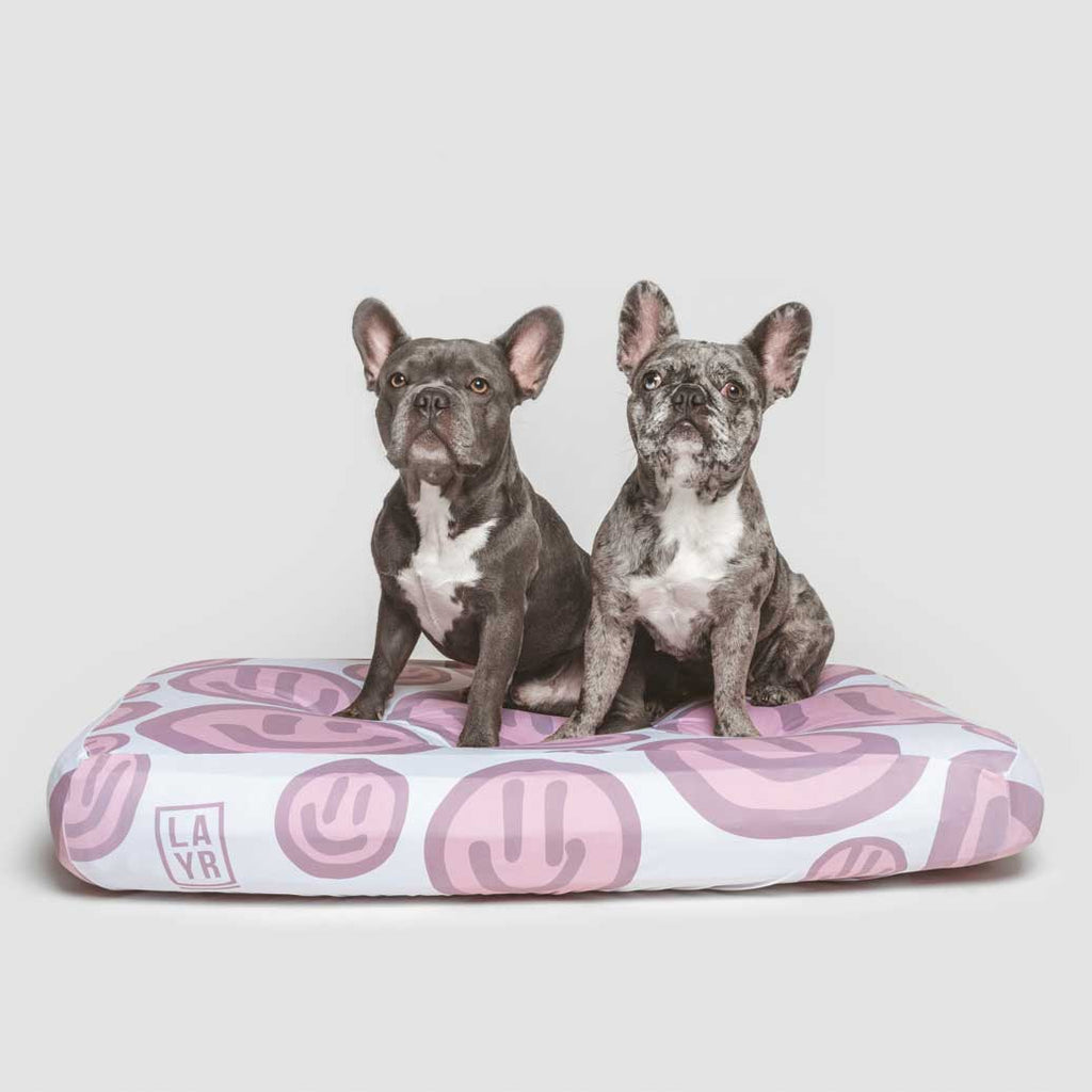 Two french bulldogs sitting on a waterproof LAYR dog bed sheet with pink happy faces. The sheet is anti microbial, anti odor and machine washable. Fun styles for your dog's bed. The best dog bed covers.