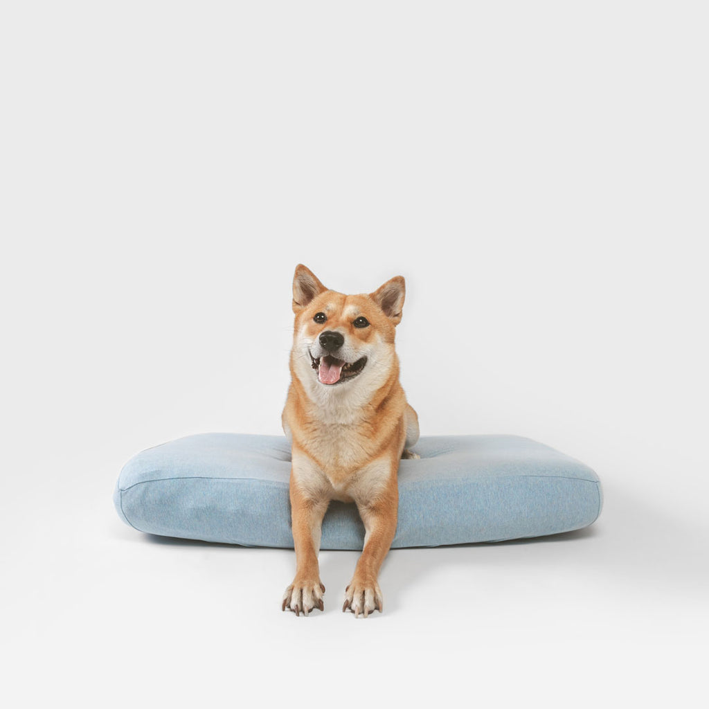 Cute Shiba Inu laying on dog bed sheet with machine washable, sustainable dog bed sheet. Soft blue sheet. Machine washable, fits all dog beds.